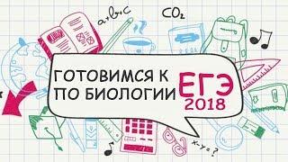 Подготовка к ЕГЭ по биологии. Сдать ЕГЭ по биологии на 100 баллов