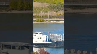 #containership #shipspotting #rhine #ship #shipping #ships #container #cargoship #tanker #cruiseship