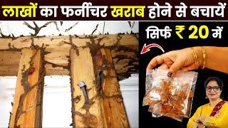 घर के फर्नीचर-दीवारों पर लगी हुई दीमक से हमेशा के लिए 100% छुटकारा पाएं | How To Get Rid Of Termites