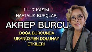 AKREP BURCU / 11-17 KASIM HAFTALIK BURÇ YORUMU / BOĞA BURCUNDA SÜRPRİZLİ  DOLUNAY ETKİLERİ