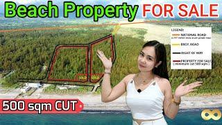 PROPERTY FOR SALE 62 | Beach lot for sale in Philippines 2022