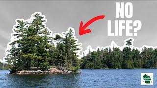 Birding a TINY Island - You Won't Believe What We Found!