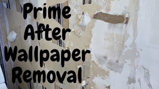 AFTER Wallpaper Removal What Primer Is Best On the Wall? - Spencer Colgan