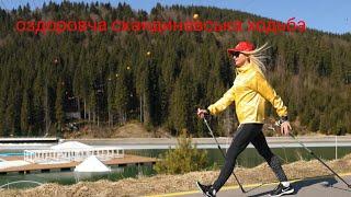 Скандинавська ходьба ( NORDIC WALKING) - активність для всієї сім'ї.