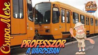 PROFESSZOR A VÁROSBAN - A kis barát