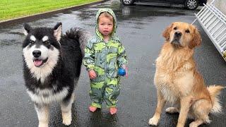 Adorable baby Boy And His Dogs Play In The Rain! (Cutest Ever!!)