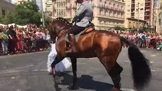 Maria la rabota apertura de la feria de Almería flamenco,caballos