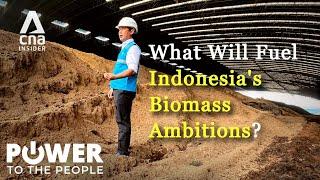 Indonesia's Transition To Biomass Sparks Resistance: Can Bioenergy Work? | Power To The People