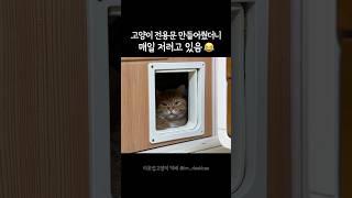 고양이 전용통로를 만들어줬더니….맨날 저러고 있음