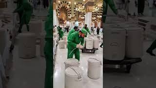 Zamzam Gallon Refilling At Masjid Nabawi After Iftar | Madina Live #ytshorts #shorts