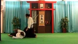 AA2  AIKIKAN BOKEN DORI 1