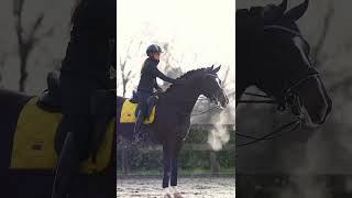 Конный магазин @new-best-horse #horsesport #конныйрынок #конныйклуб #конныйблог