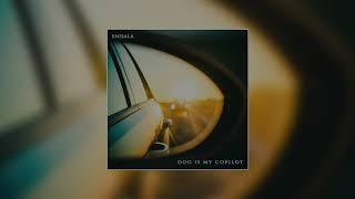 Dog Is My Copilot - Enisala [EP] (2020)