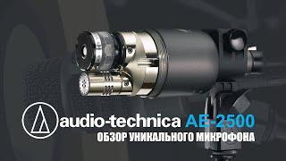 Инструментальный микрофон с двумя капсюлями Audio technica 2500