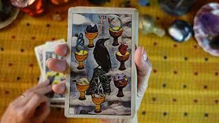 CROW TAROT - Deck Review