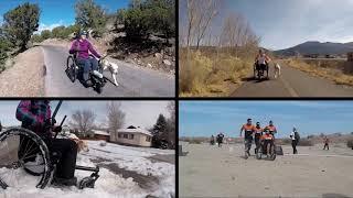 GRIT Freedom Chair - the world's best all-terrain wheelchair