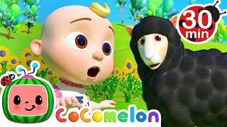 [ 30 MIN LOOP ] Baa Baa Black Sheep | Learn & Sing Classics | CoComelon Nursery Rhymes & Kids Songs