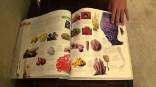 ASMR - Page turning - #55 - Natural History  - no talking