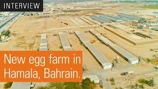 Turnkey farm project for egg production in Bahrain