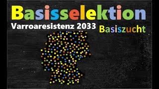 Basisselektion des kleinen Imkers - Varroaresistenz 2033