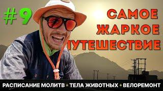 #9 | САМОЕ ЖАРКОЕ ПУТЕШЕСТВИЕ | МОЛИТВА | ТЕЛА ЖИВОТНЫХ | ВЕЛОРЕМОНТ | МЕЧЕТЬ