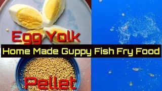 Home Made Guppy Fish Fry Food