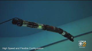 Carnegie Mellon University's Biorobotics Lab Creates Robot That Can Swim