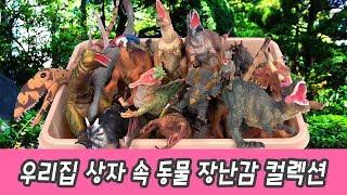 한국어ㅣ우리집 상자 속 공룡 장난감 컬렉션, 공룡이름 맞추기, 컬렉타 피규어ㅣ꼬꼬스토이