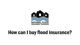 How can I buy flood insurance?