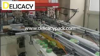 2 pc DRD can production line