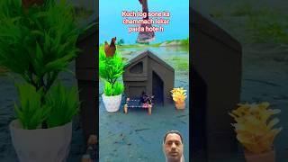 crazy videography ideas l #virelshorts #ideas #comedy #birds