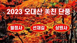 오대산 미친단풍(월정사 - 선재길 - 상원사) 2023. 10. 20. 촬영 - 해산강트래블(海山江 travel)