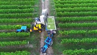 Azienda agricola Forchir - Video di presentazione aziendale