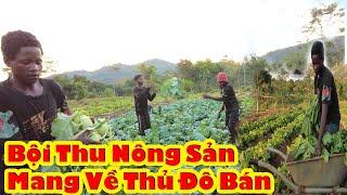 Vỡ Òa Niềm Vui Nông Sản Lên Đường Về Thủ Đô Bán || Tony Phong cuộc sống Châu Phi