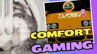 COMFORT GAMING...WHAT ARE YOURS  #amiga #retrogaming #cat