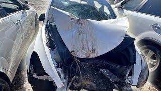 YNs Totaled Out My Tesla Right Before Christmas