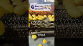 PaniPuri Fryer Machine | PaniPuri Machine | Fryer Machine | #trending #yt #youtubeshorts