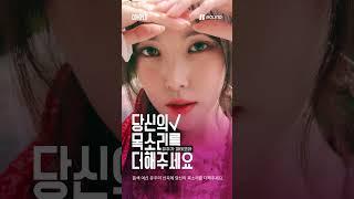 당신이 COMPLIT에 지원해야 하는 두 번째 이유