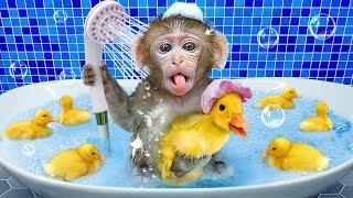 Monkey BuBu Bathes with Little Monkey in the Bathtub and Makes Candy in the Kitchen - MONO BUBU ESP