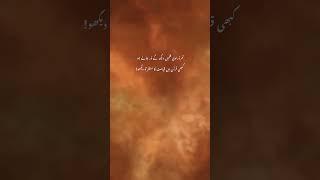 4 June 2025