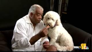 Rod Daniels, dog Bandit join 'Show Your Soft Side' campaign