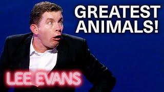 Animals Hilarious Instincts | Big: Live At The O2 | Lee Evans