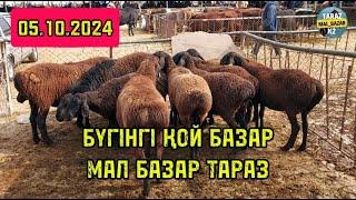 Бүгінгі қой базар 05.10.2024 Тараз мал базар / Mal bazar Taraz