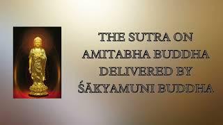 THE SUTRA ON AMITABHA BUDDHA DELIVERED BY SAKYAMUNI BUDDHA