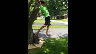 Slow motion tree swing