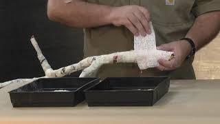 Building an Artificial Tree Limb | Taxidermy Supply | Scenes-n-Nature®