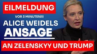 EILMELDUNG: ALICE WEIDELS ANSAGE VOLODYMYR ZELENSKYY UND DONALD TRUMP!!!