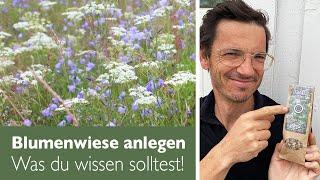 Blumenwiese anlegen - die 5 besten Tipps!!!