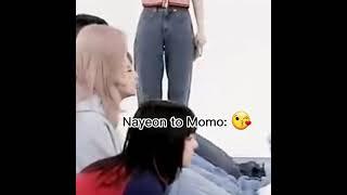 Twice gay-line  NaMiMo