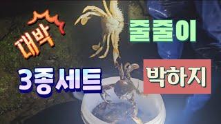 [고독한허당] 해루질 지금시즌 쓸어담는 이것은?!(feat. 삼겹살&꼬막무침)